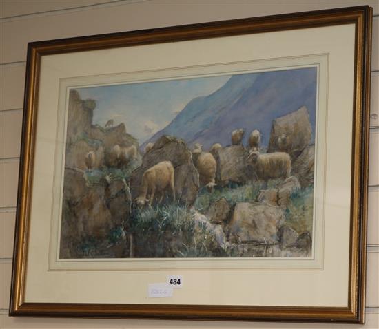 Edward van Goethem (1857-1924) watercolour, sheep on the hillside, signed 33 x 52cm.